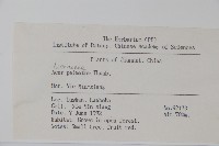 雞爪槭藏品圖，第2張