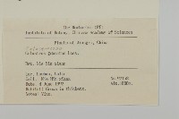 哥蘭葉藏品圖，第2張