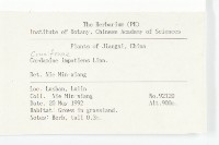 水花菜藏品圖，第2張