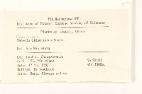 蒲兒根藏品圖，第2張