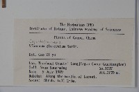 球花莢迷藏品圖，第2張