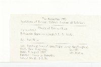 青莢葉藏品圖，第2張