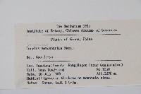 毛榛藏品圖，第2張