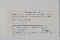 白樺、粉樺、臭樺藏品圖，第2張