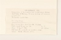 螞蚱腿子藏品圖，第2張