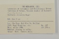 中國繁縷藏品圖，第2張