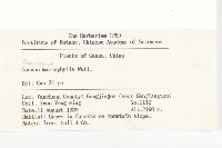 細梗苔草藏品圖，第2張