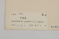 下田菊藏品圖，第3張