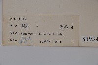 莢迷藏品圖，第2張