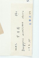 山紅柿藏品圖，第6張