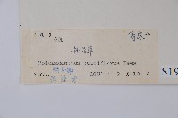 針刺草藏品圖，第2張