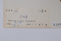 十大功勞藏品圖，第2張