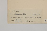 草珊瑚、紅果金粟蘭藏品圖，第3張