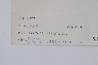 水東哥藏品圖，第2張