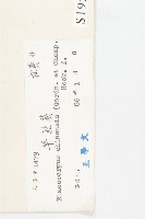 華杜英藏品圖，第3張