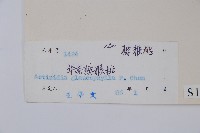 華南獼猴桃藏品圖，第2張