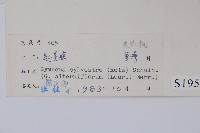 武靴藤藏品圖，第2張