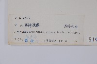 酸藤藏品圖，第2張