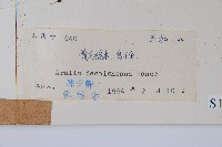 鵲不踏藏品圖，第2張