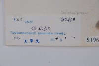 鐘萼木藏品圖，第2張