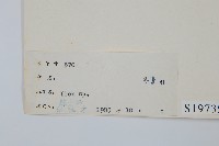 登錄號:S019739藏品圖，第2張