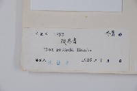 鐵冬青藏品圖，第2張