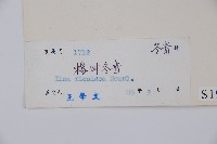 臺灣糊樗藏品圖，第2張