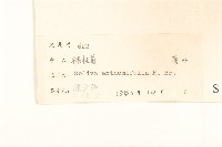 假吐金菊藏品圖，第3張