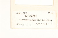 雞兒腸藏品圖，第3張