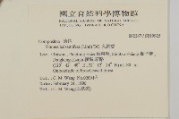艾納香藏品圖，第2張