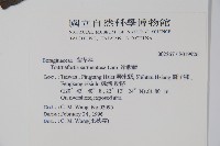 冷飯藤藏品圖，第2張