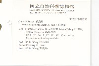 菜欒藤藏品圖，第2張