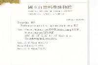 蒼耳藏品圖，第2張