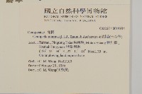 石胡荽、吐金草藏品圖，第2張