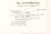 鯽魚膽、闊苞菊藏品圖，第2張