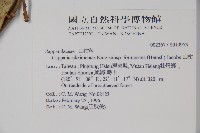 山柑、臺灣山柑藏品圖，第2張