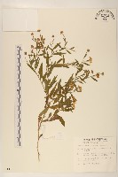 香楠藏品圖，第1張