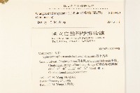 線球菊、田基黃藏品圖，第2張