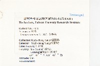 黃鵪菜藏品圖，第2張