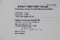 鐵冬青藏品圖，第2張