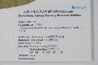 小刺山柑藏品圖，第2張