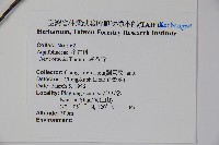 鐵冬青藏品圖，第2張