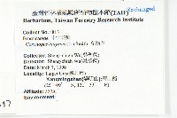 臭濱芥、臭薺藏品圖，第2張