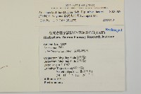 臺灣鬼督郵藏品圖，第2張