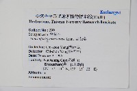 冷飯藤藏品圖，第2張