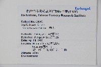 糊樗藏品圖，第2張