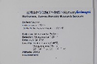 清水山小檗藏品圖，第2張