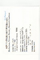 俄氏柿藏品圖，第4張