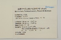 大丁黃藏品圖，第2張