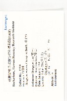 軟毛柿藏品圖，第2張